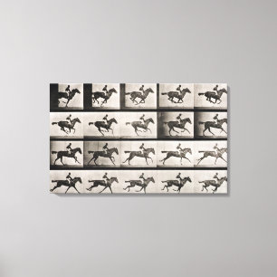Impressão Em Tela Jockey em um cavalo galopante, prato 627 de Anima