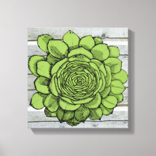 Impressão Em Tela Jonus o heuffelii de Jovibarba