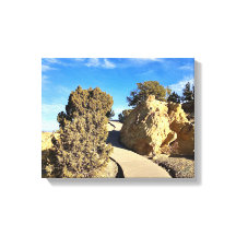 Jornada Além da Curva