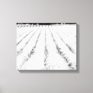 Impressão Em Tela Jovem Corno Preto e Branco em um Campo 11x14