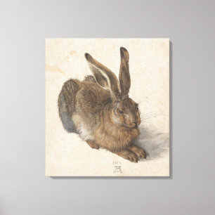 Impressão Em Tela Jovem Hare Albrecht Durer
