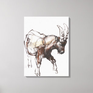 Impressão Em Tela Jovem Ibex Gran Paradiso 2005