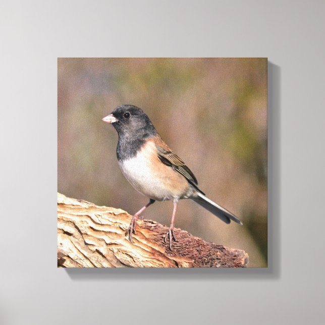Impressão Em Tela Junco (Frente)