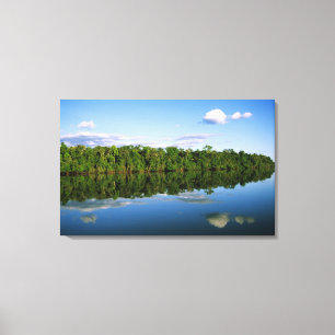 Impressão Em Tela Juruena, Brasil. Margem florestada de rio refletid