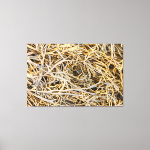 Impressão Em Tela Kelps