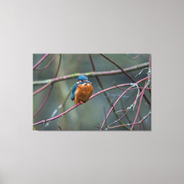 Impressão Em Tela Kingfisher v2