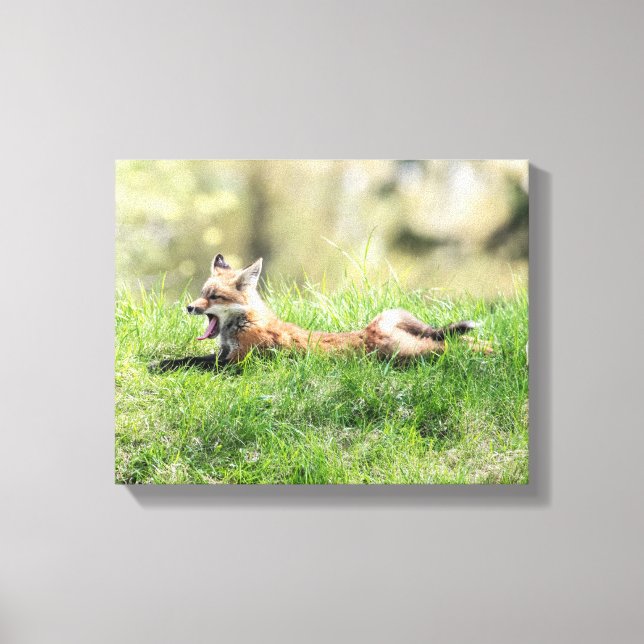 Impressão Em Tela Kit de Raposa Vermelha (Frente)