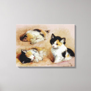 Impressão Em Tela Kitten, Henriëtte Ronner-Knip