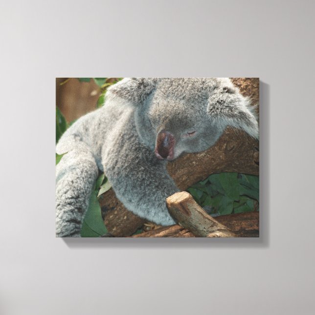 Impressão Em Tela Koala (Frente)