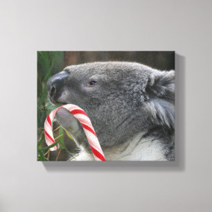 Impressão Em Tela Koala Christmas Candy Cane