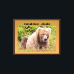 Impressão Em Tela Kodiak Bear - Alasca<br><div class="desc">Veja este legal urso Kodiak no Alaska. O urso quase parece um ursinho de pelúcia que a maioria de nós tinha quando era criança. Esta imagem ficaria excelente na parede do quarto de uma criança. Você pode comprar esta tela estendida "Kodiak Bear - Alaska" na minha loja de impressão a...</div>
