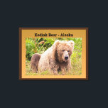 Impressão Em Tela Kodiak Bear - Alasca<br><div class="desc">Veja este legal urso Kodiak no Alaska. O urso quase parece um ursinho de pelúcia que a maioria de nós tinha quando era criança. Esta imagem ficaria excelente na parede do quarto de uma criança. Você pode comprar esta tela estendida "Kodiak Bear - Alaska" na minha loja de impressão a...</div>