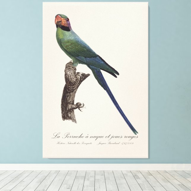 Impressão Em Tela La Perruche a nuque et joues rouges (Insitu(piso de madeira))