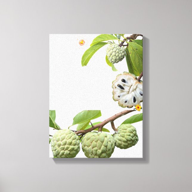 Impressão Em Tela La pomme-cannelle -  (Frente)