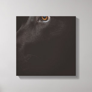 Impressão Em Tela laboratório negro