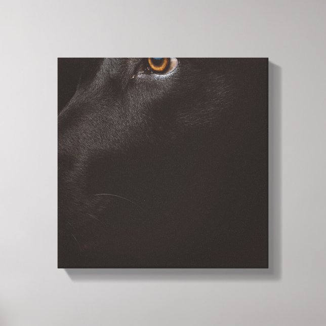 Impressão Em Tela laboratório negro (Frente)