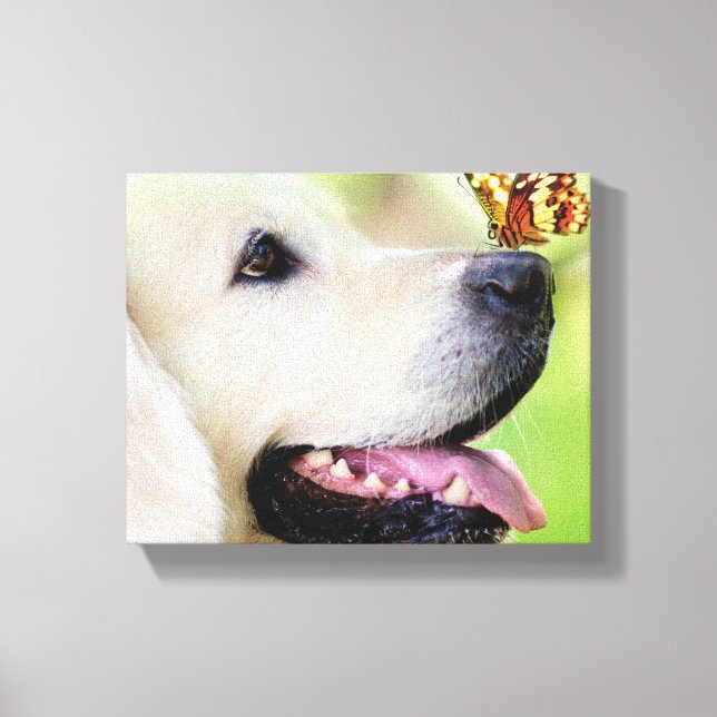 Impressão Em Tela Labrador And Butterfly Throw Pillow (Frente)
