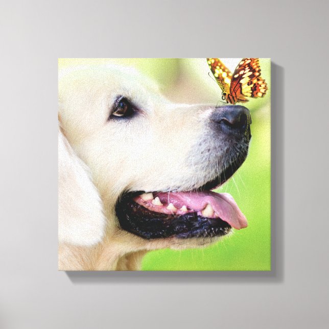 Impressão Em Tela Labrador And Butterfly Throw Pillow (Frente)
