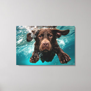 Impressão Em Tela Labrador Chocolate Brincalhão Nadando Submerso