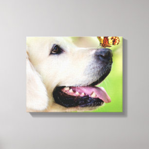 Impressão Em Tela Labrador E Travesseiro decorativo De Borboleta