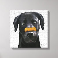 Labrador Preto com Osso no Nariz