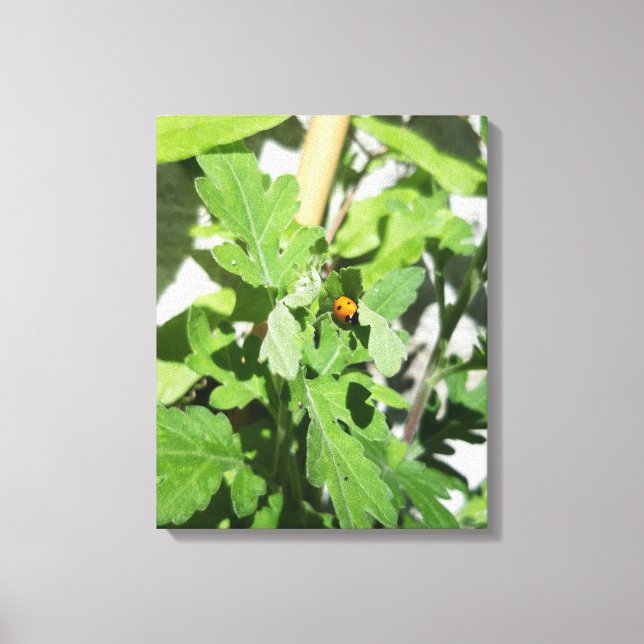 Impressão Em Tela Ladybug em Flores (Frente)