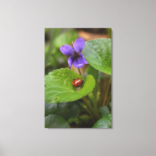 Impressão Em Tela Ladybug em Flores de Violeta Doce