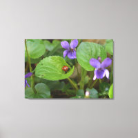 Ladybug em Flores de Violeta Doce