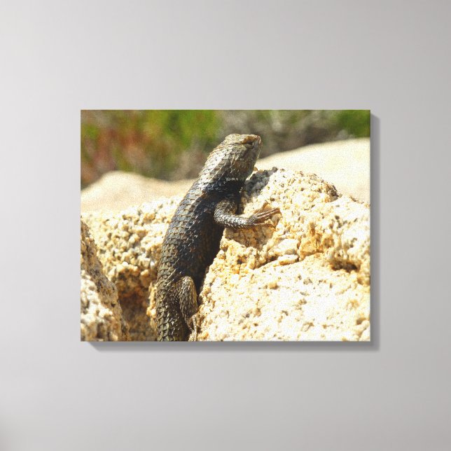 Impressão Em Tela Lagarto Espinhoso de Dorso Amarelo no Joshua Tree (Frente)