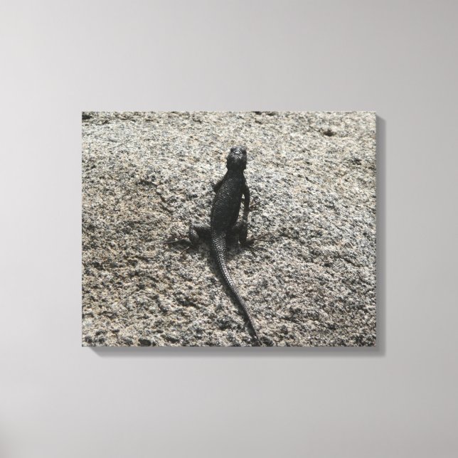 Impressão Em Tela Lagarto Preto (Frente)