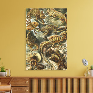 Impressão Em Tela Lagartos por Ernst Haeckel Lacertilia Animal Vinta