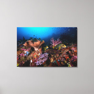Impressão Em Tela Laja Ampat subaquático