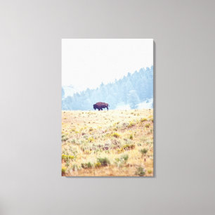 Impressão Em Tela Lamar