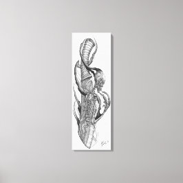 Impressão Em Tela lâmina de crânio 3