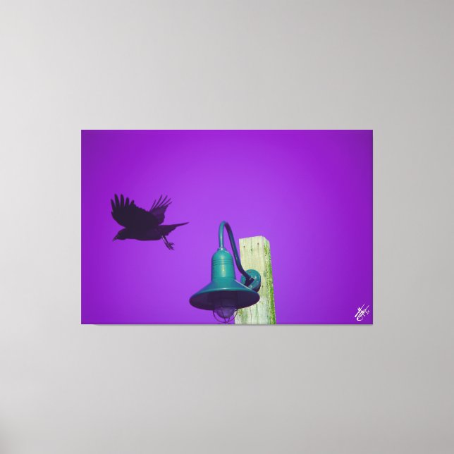 Impressão Em Tela Langley Crow na Série Light Posta #1 (Frente)