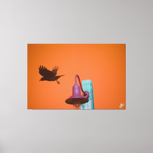 Impressão Em Tela Langley Crow na Série Light Posta #2 (Frente)