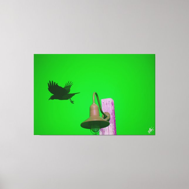 Impressão Em Tela Langley Crow na Série Light Posta #9 (Frente)