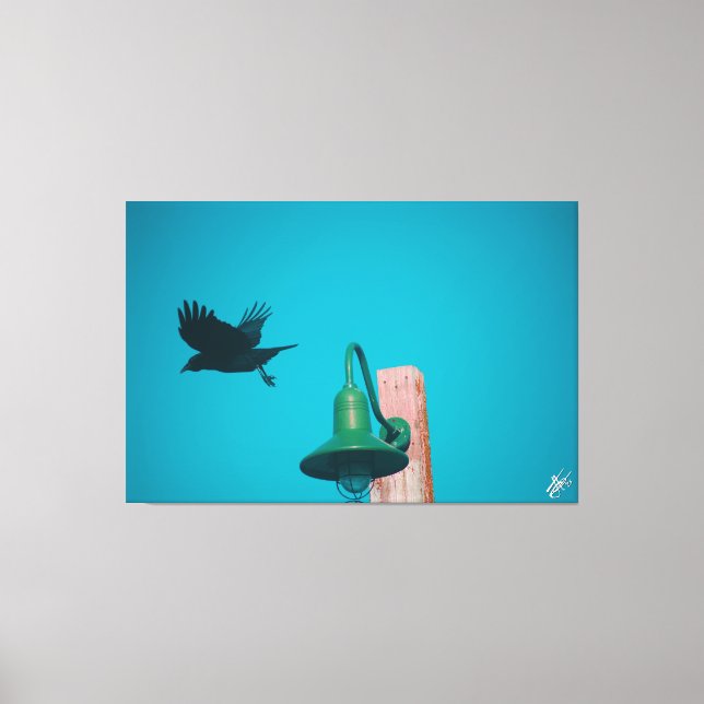 Impressão Em Tela Langley Crow na Série Light Poste #10 (Frente)