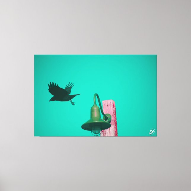 Impressão Em Tela Langley Crow na Série Light Poste #11 (Frente)