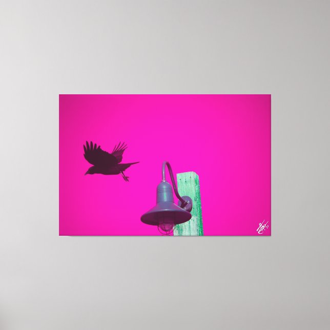 Impressão Em Tela Langley Crow na Série Light Poste #12 (Frente)