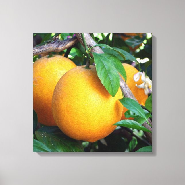 Impressão Em Tela Laranja - Tangelo (Frente)