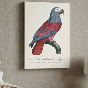 Impressão Em Tela Le Perroquet cendre Tapire