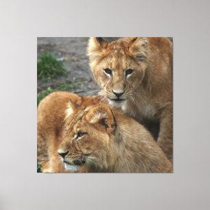 Impressão Em Tela Leão 033