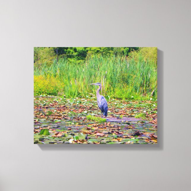 Impressão Em Tela Leão azul, lírios-água, aves selvagens bonito, nat (Frente)