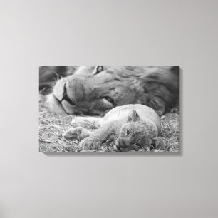 Impressão Em Tela Leão Cub bonito que descansa com pai