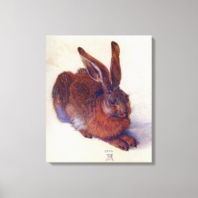 Impressão Em Tela Lebre Jovem por Albrecht Durer, Arte Fino Renascen (Frente)
