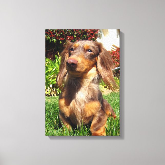 Impressão Em Tela leonidas (Frente)