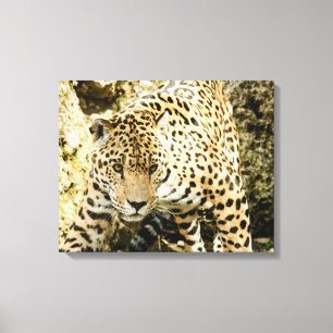 Impressão Em Tela Leopardo