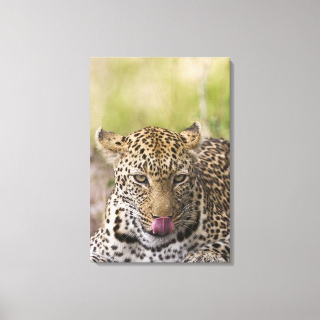 Impressão Em Tela Leopardo (Frente)
