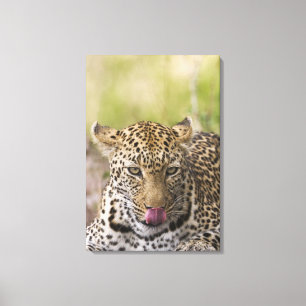 Impressão Em Tela Leopardo